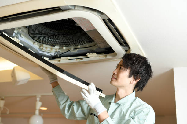 Best Air Duct Mold Removal  in Alamo, NV