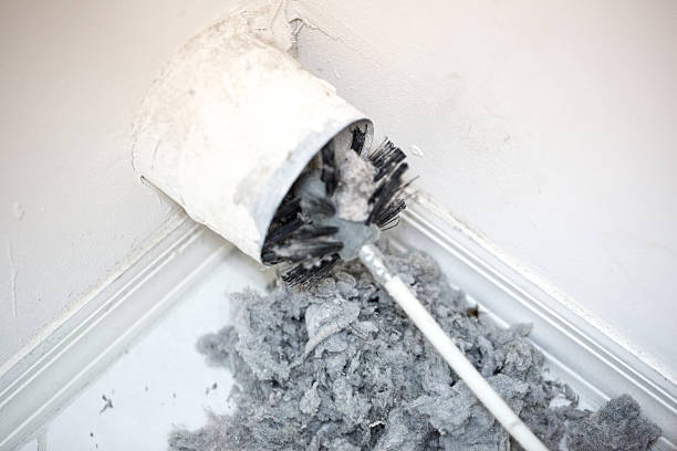 Best HVAC System Cleaning  in Alamo, NV